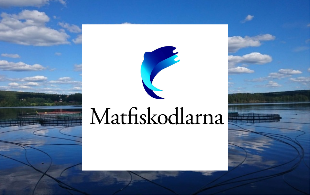 Matfiskodlarna logotyp som visar fiskodling i bakgrunden