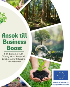 NyföretagarCentrum Skellefteå Business Boost
