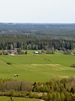 Odlingsmark i Hössjö. Foto: Lena Friborg